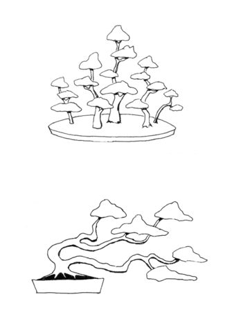 Bonsai Forest Group Style, Bonsai Windswept Style Coloring Page